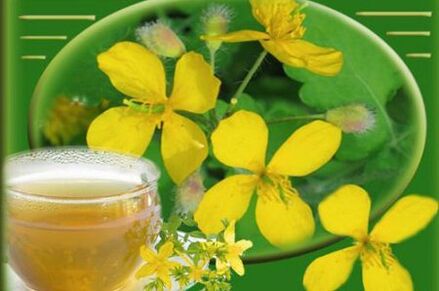decoction of celandine for fungus