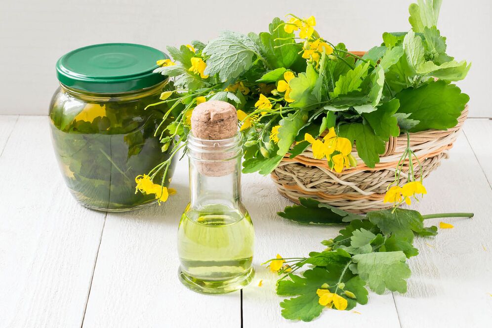 Infusion, oil and freshly picked celandine against toenail fungus