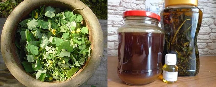 Preparation of medicinal celandine juice for further use in the fight against toenail fungus